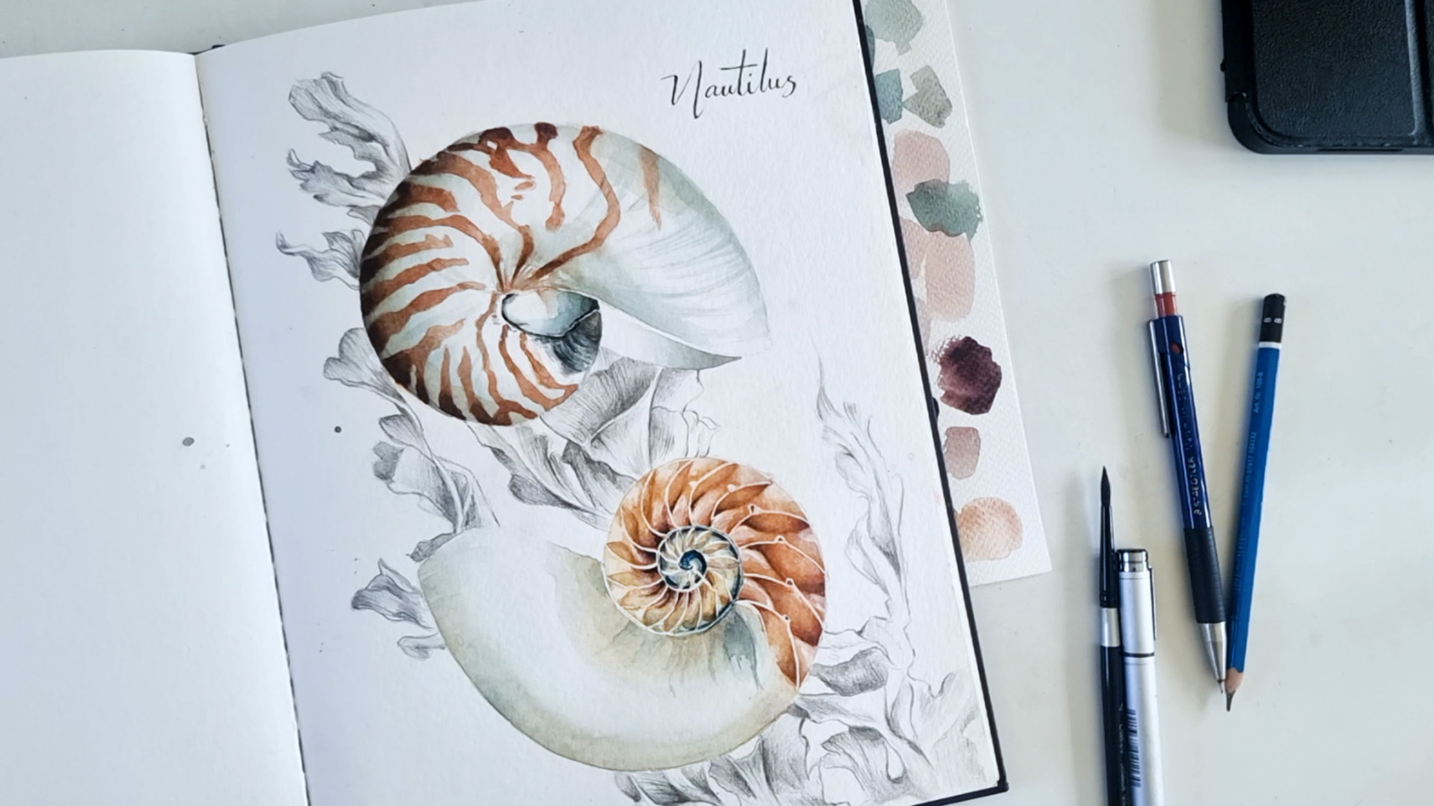Nautilus